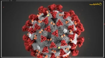 أول توضيح رسمي.. مستشار الرئيس للصحة يكشف حقيقة انتشار متحور كورونا الجديد ماذا قال عن الوضع الوبائي؟ 1